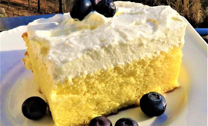 Tres Leches Cake